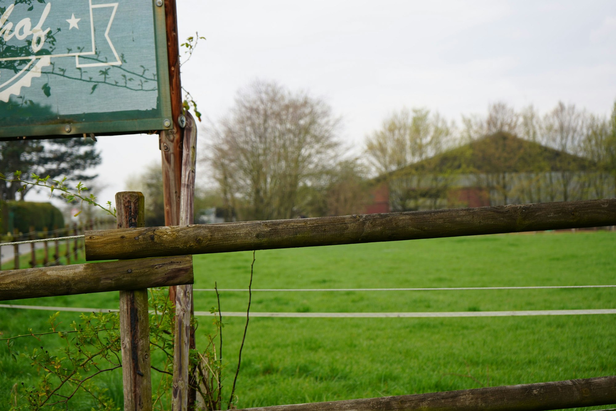 Das Bild zeigt einen Pferdehof.