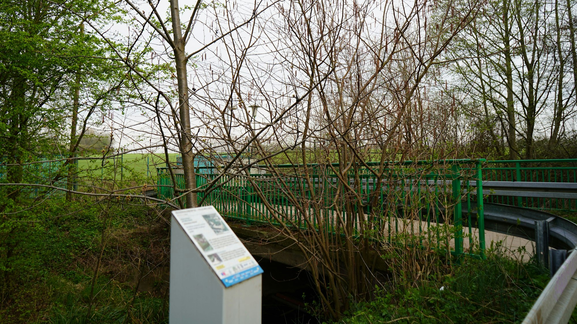 Das Bild zeigt eine Brücke am Erlebnispfad Pulheimer Bach.
