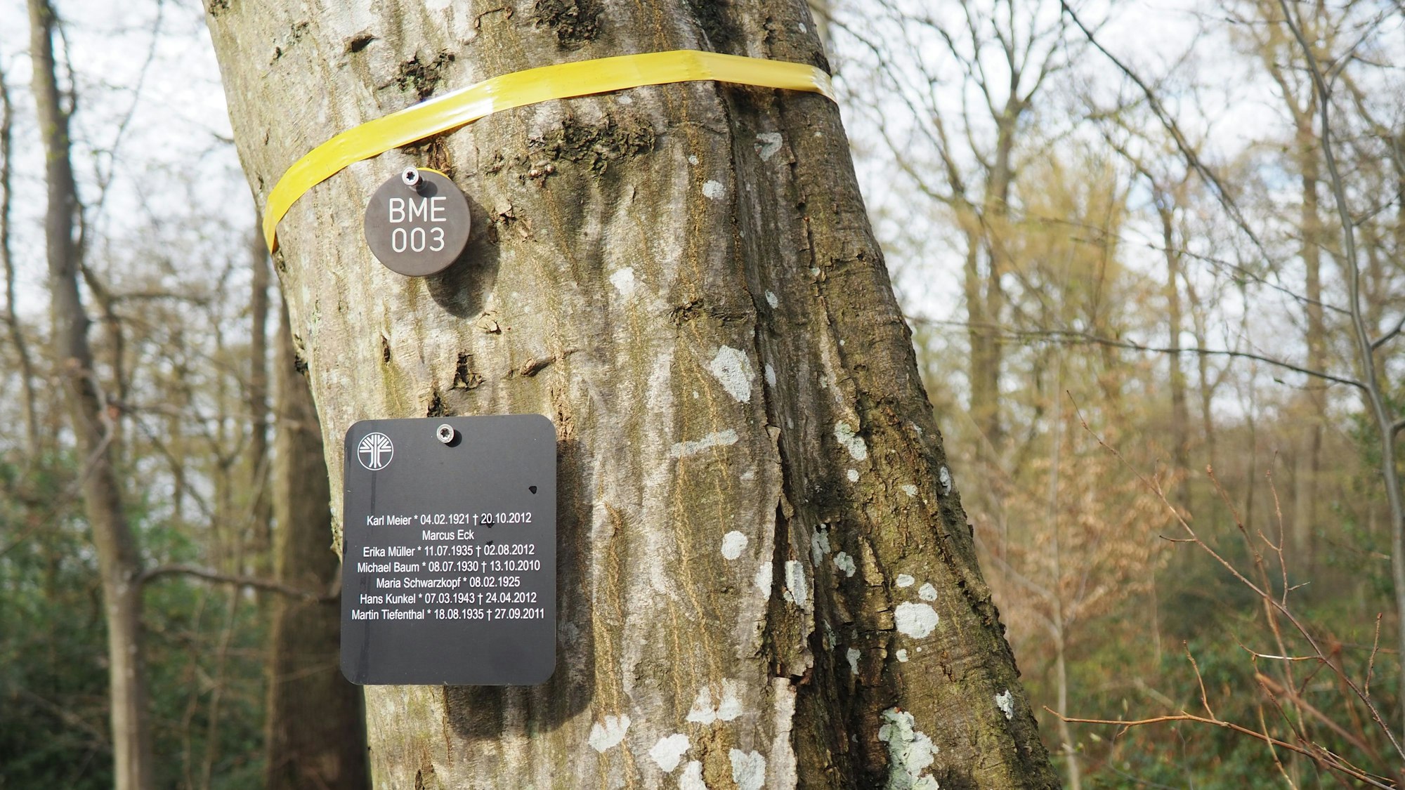 An einem Baum, der ein gelbes Band trägt, hängt ein Plättchen mit einer Nummer und ein Schild mit mehreren Namen.