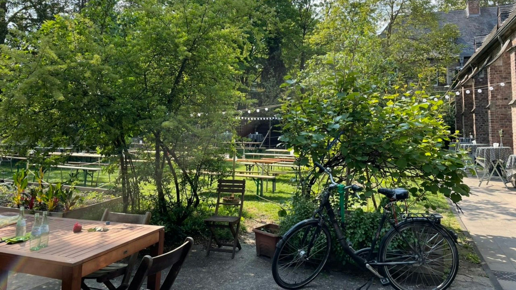 Der Weingarten im Hof der Kartäuserkirche ohne Besucher. (Archivbild)