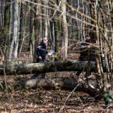 05.04.2026, Schleswig-Holstein, Flensburg: Einsatzkräfte der Polizei stehen in einem Waldstück südöstlich von Flensburg neben einem umgestürzten Baum. Bei einem Unglück sind am Ostersonntag drei Menschen ums Leben gekommen, darunter eine Mutter und ihr Baby. Ein etwa 30 Meter hoher Baum war in der Gemeinde Mittelangeln bei starken Windböen auf eine Gruppe gestürzt, wie die Polizei berichtete. Vier Menschen wurden unter dem Baum eingeklemmt. Foto: Benjamin Nolte/dpa +++ dpa-Bildfunk +++