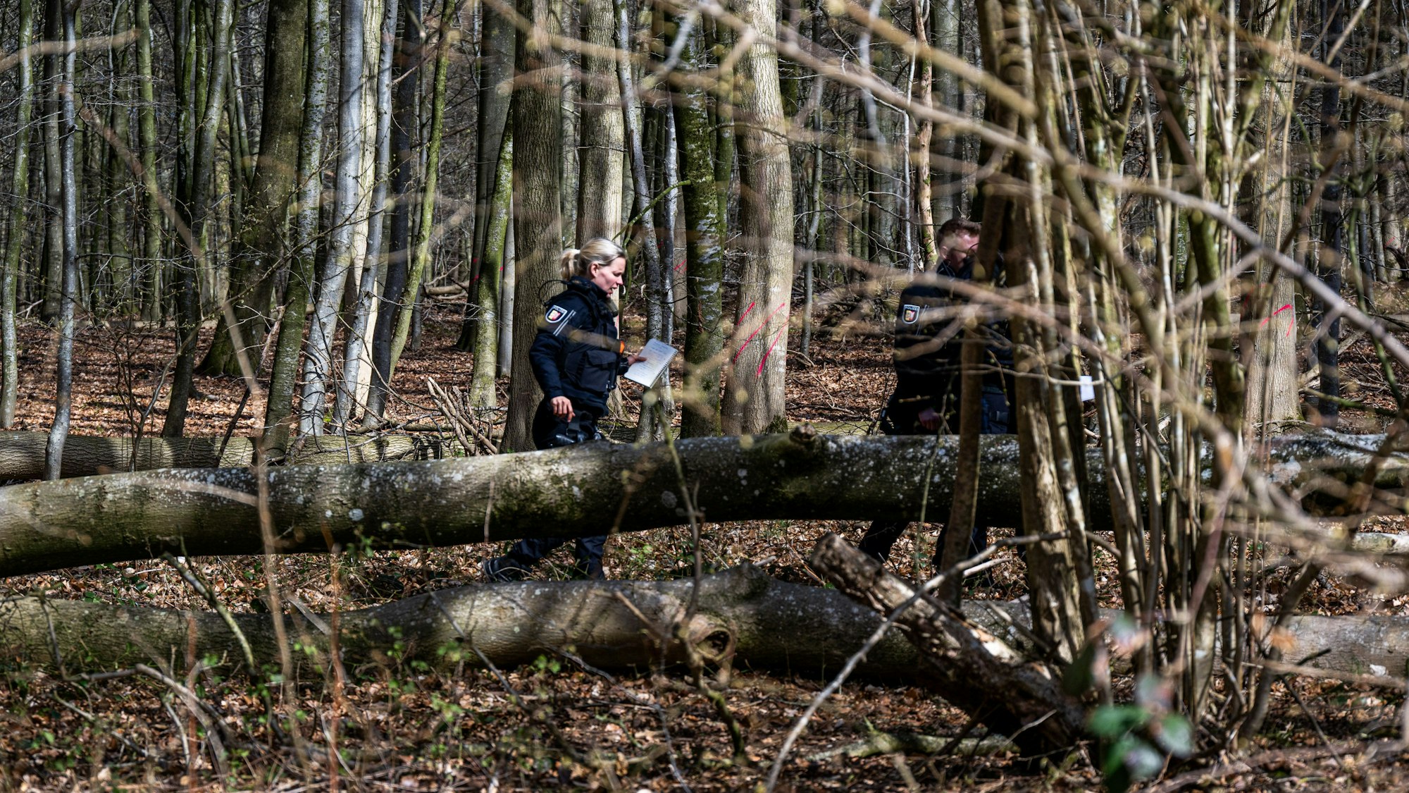 05.04.2026, Schleswig-Holstein, Flensburg: Einsatzkräfte der Polizei stehen in einem Waldstück südöstlich von Flensburg neben einem umgestürzten Baum. Bei einem Unglück sind am Ostersonntag drei Menschen ums Leben gekommen, darunter eine Mutter und ihr Baby. Ein etwa 30 Meter hoher Baum war in der Gemeinde Mittelangeln bei starken Windböen auf eine Gruppe gestürzt, wie die Polizei berichtete. Vier Menschen wurden unter dem Baum eingeklemmt. Foto: Benjamin Nolte/dpa +++ dpa-Bildfunk +++