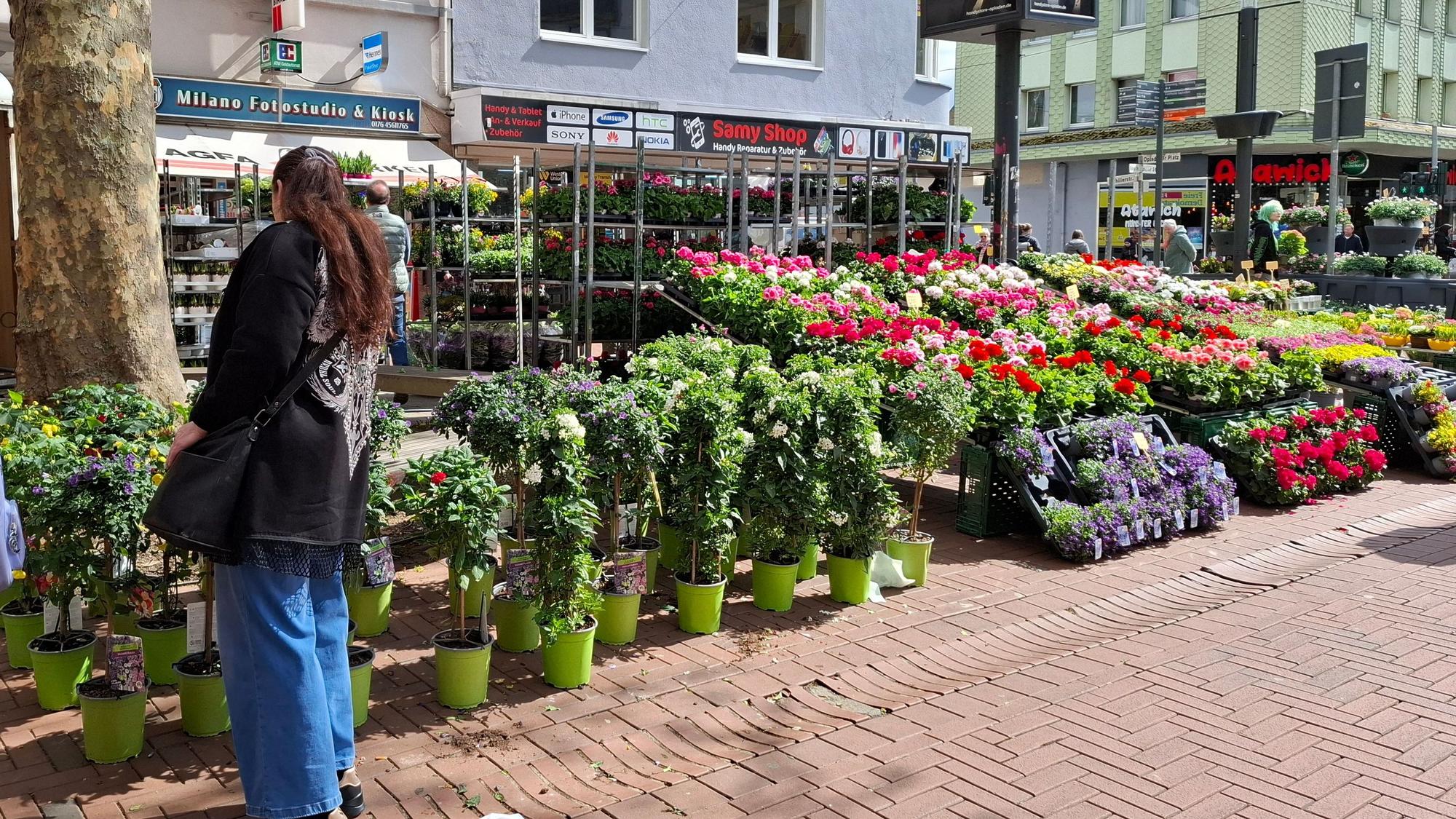 Blumen gab es reichlich zu kaufen, aber ein beliebter Stand für große Pflanzen wurde vermisst.