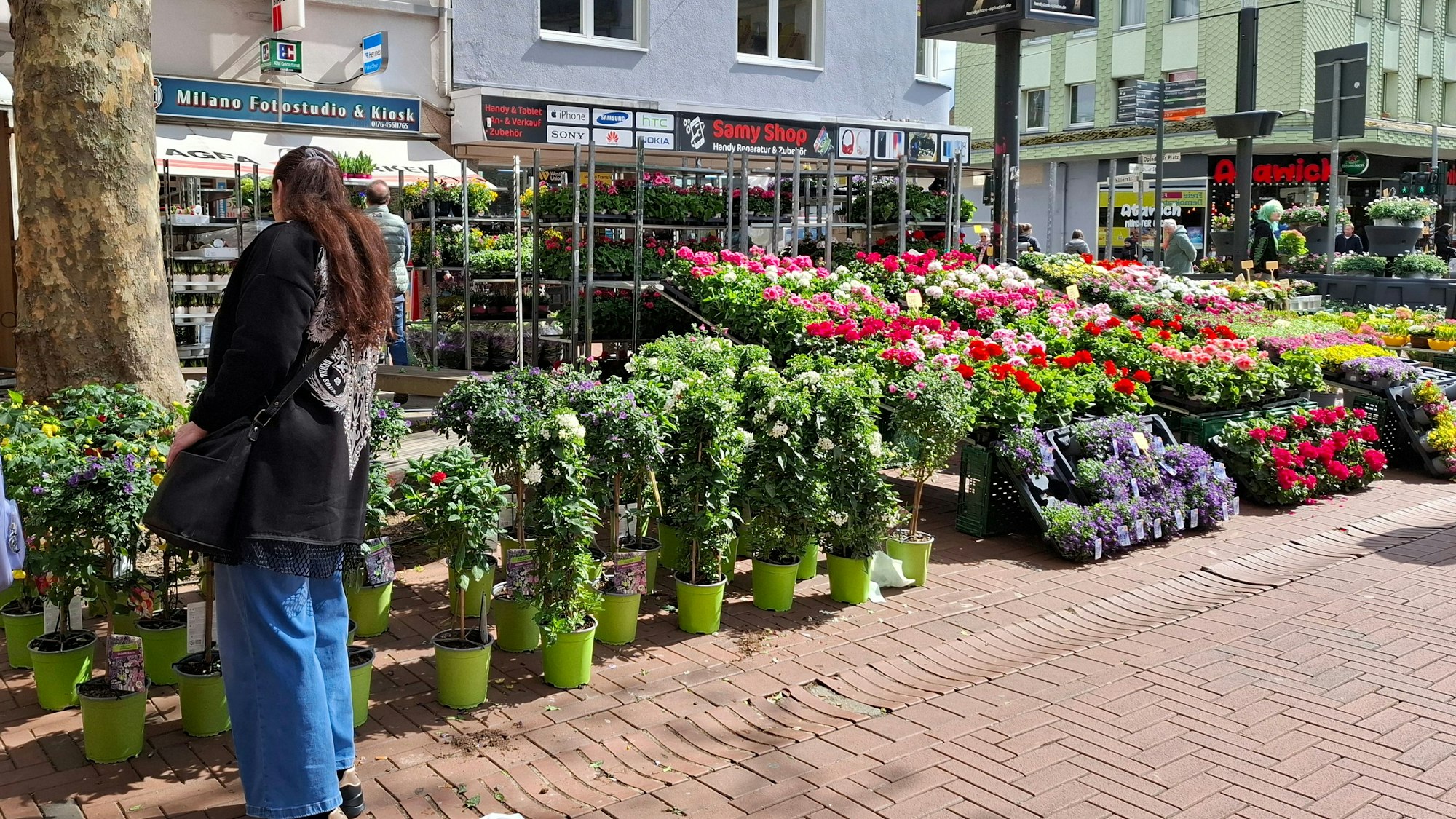 Blumen gab es reichlich zu kaufen, aber ein beliebter Stand für große Pflanzen wurde vermisst.