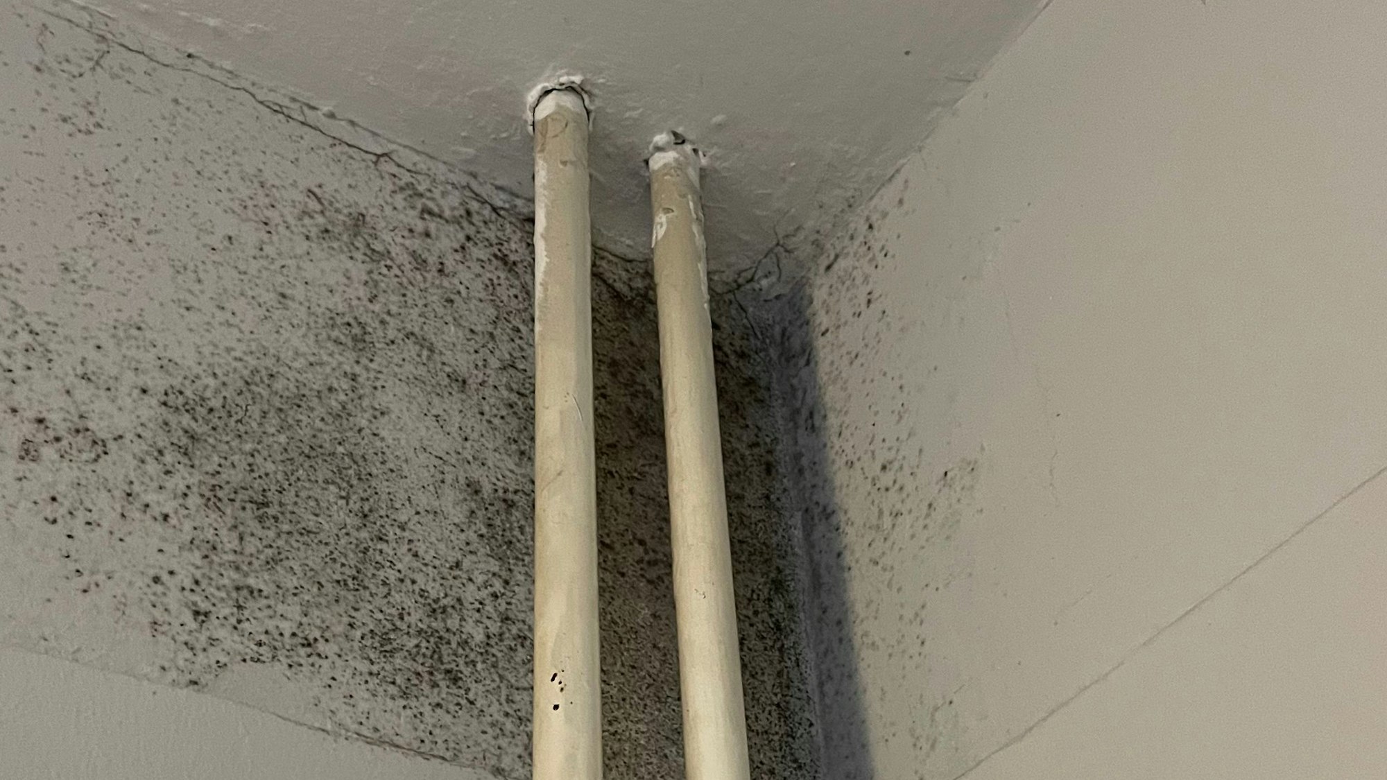 Weitere Stellen, wo sich der Schimmel ausbreitet.