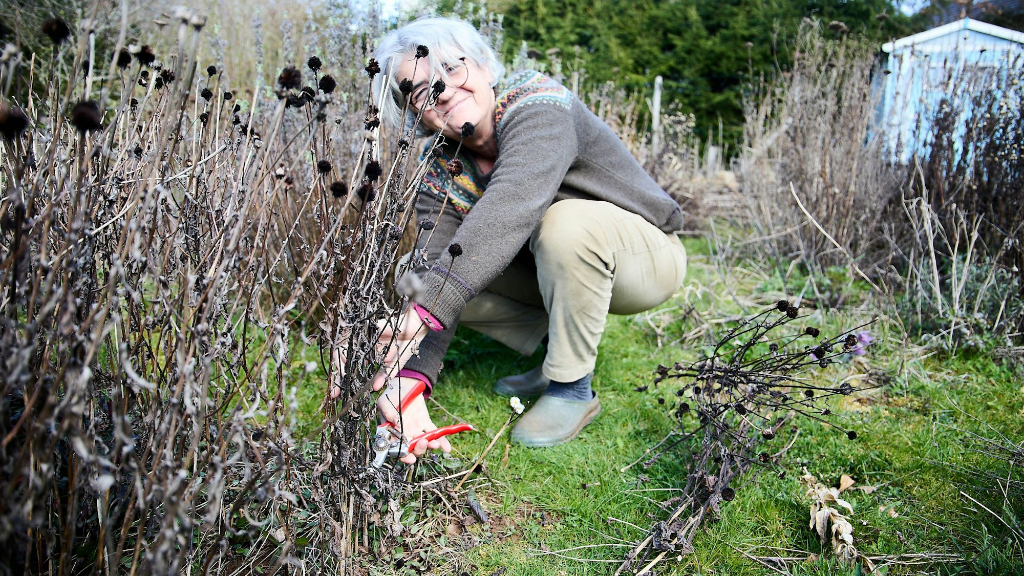 Ulrike Kreuer schneidet in ihrem Garten in Nettersheim vertrocknete Stauden aus dem Vorjahr ab.