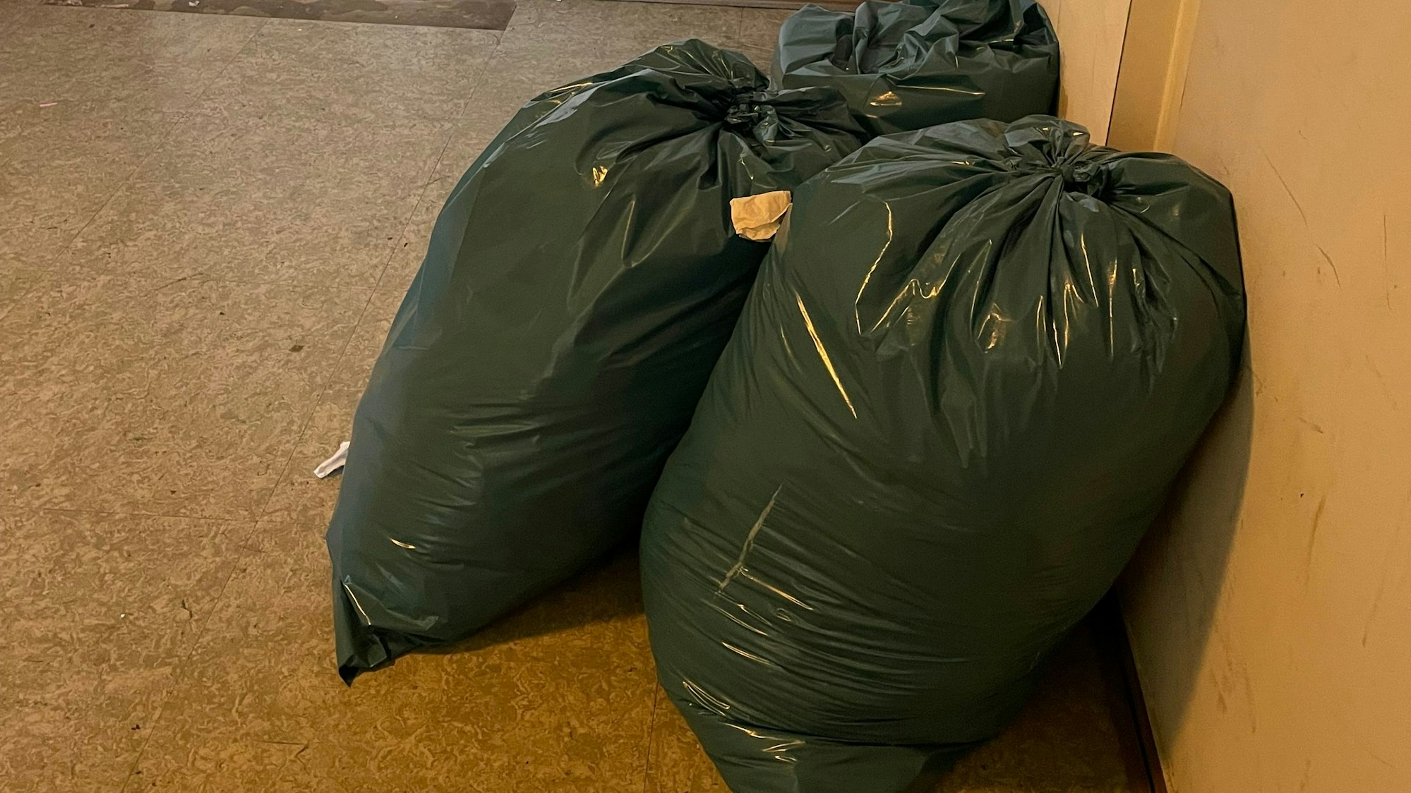 Häufig wird der Müll achtlos im Hausflur abgestellt