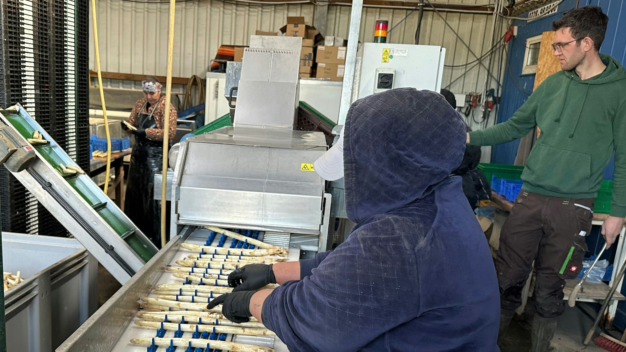 Blick auf das Förderband. Ein Helfer sortiert die Stangen.