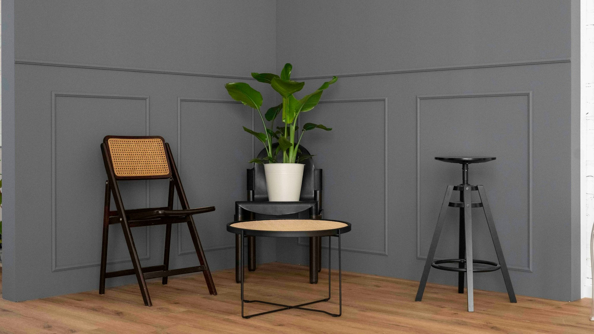 Vor einer grauen Wand des Studios stehen Möbelstücke und eine Grünpflanze.