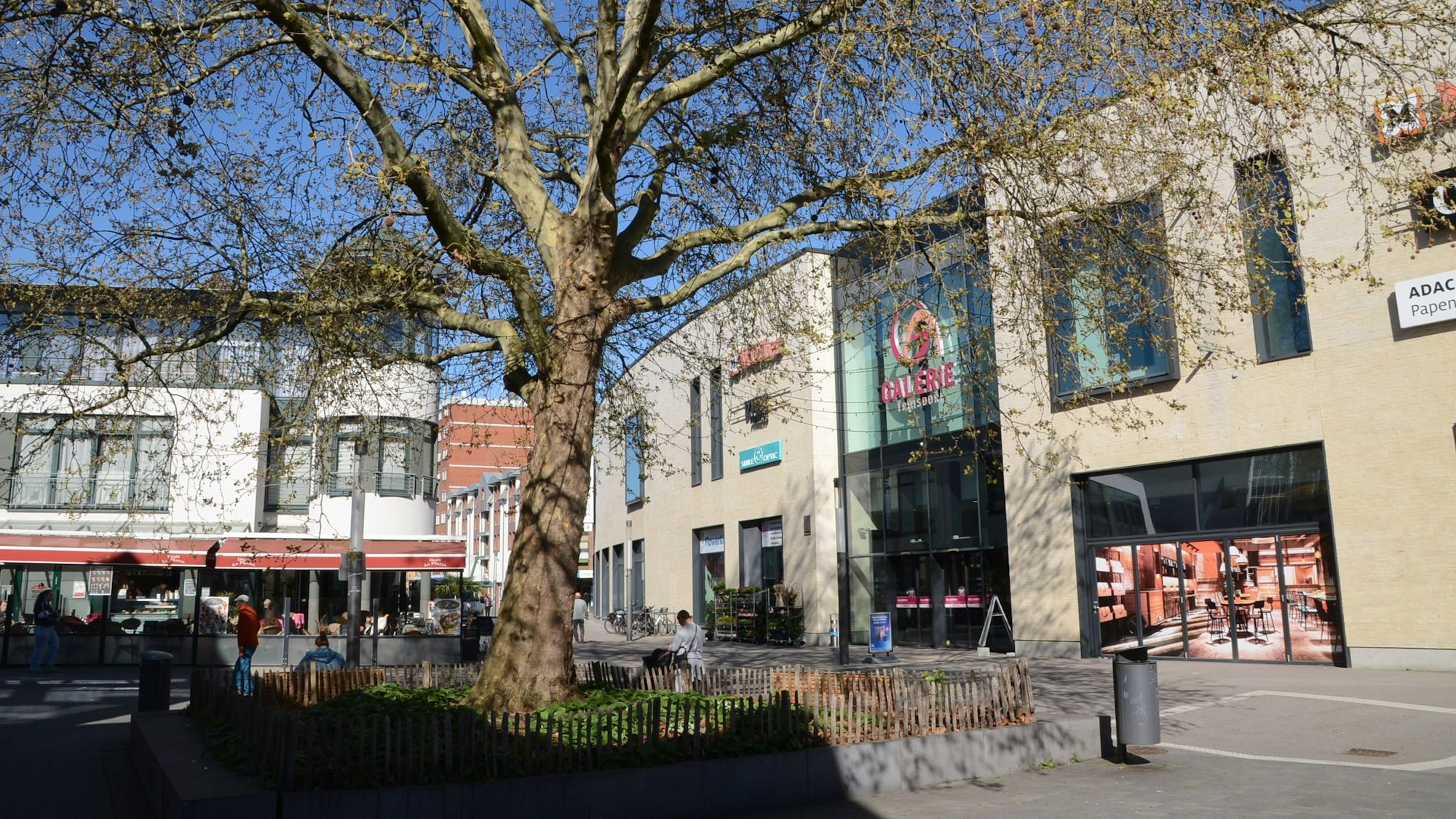 Eine große Platane am Platz vor einer Einkaufspassage