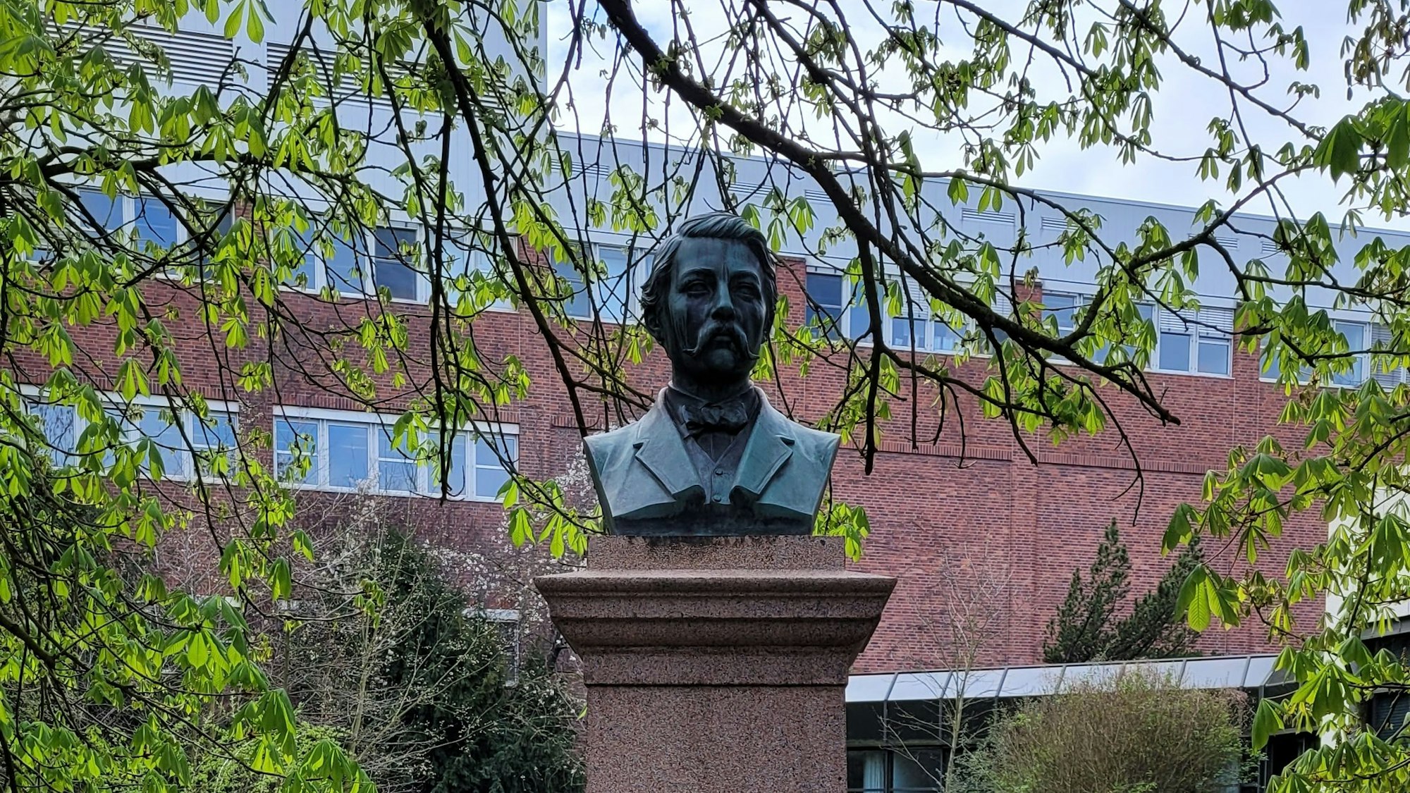 Das Foto zeigt die Büste von Richard Zanders