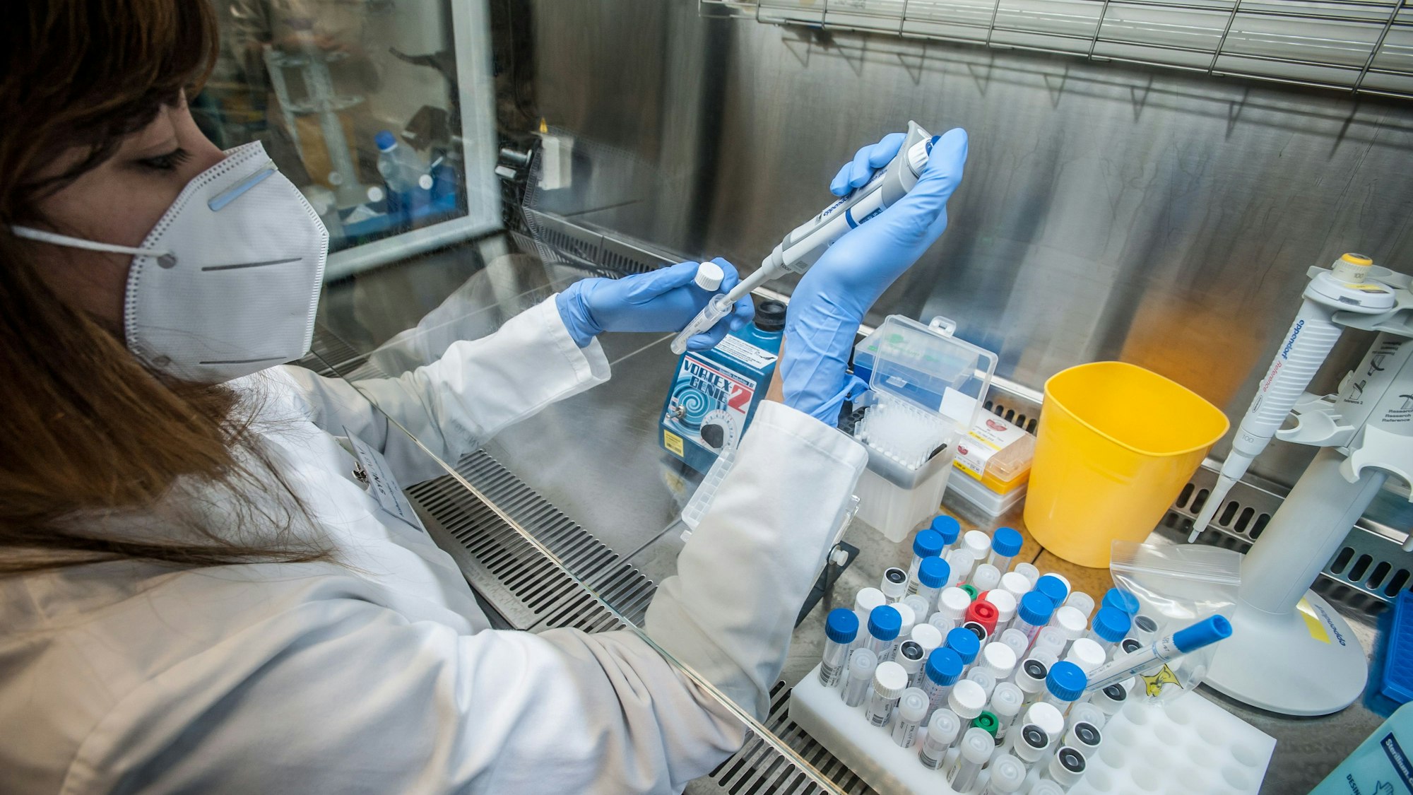 Vorbereitung zu Proben im Testlabor von Synlab L