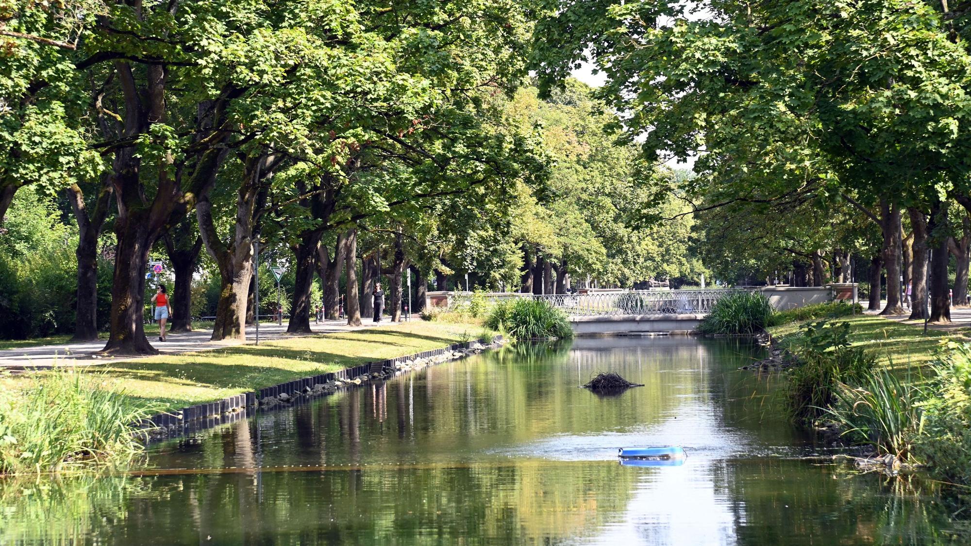Der Rautenstrauchkanal im Sommer (Archivbild)