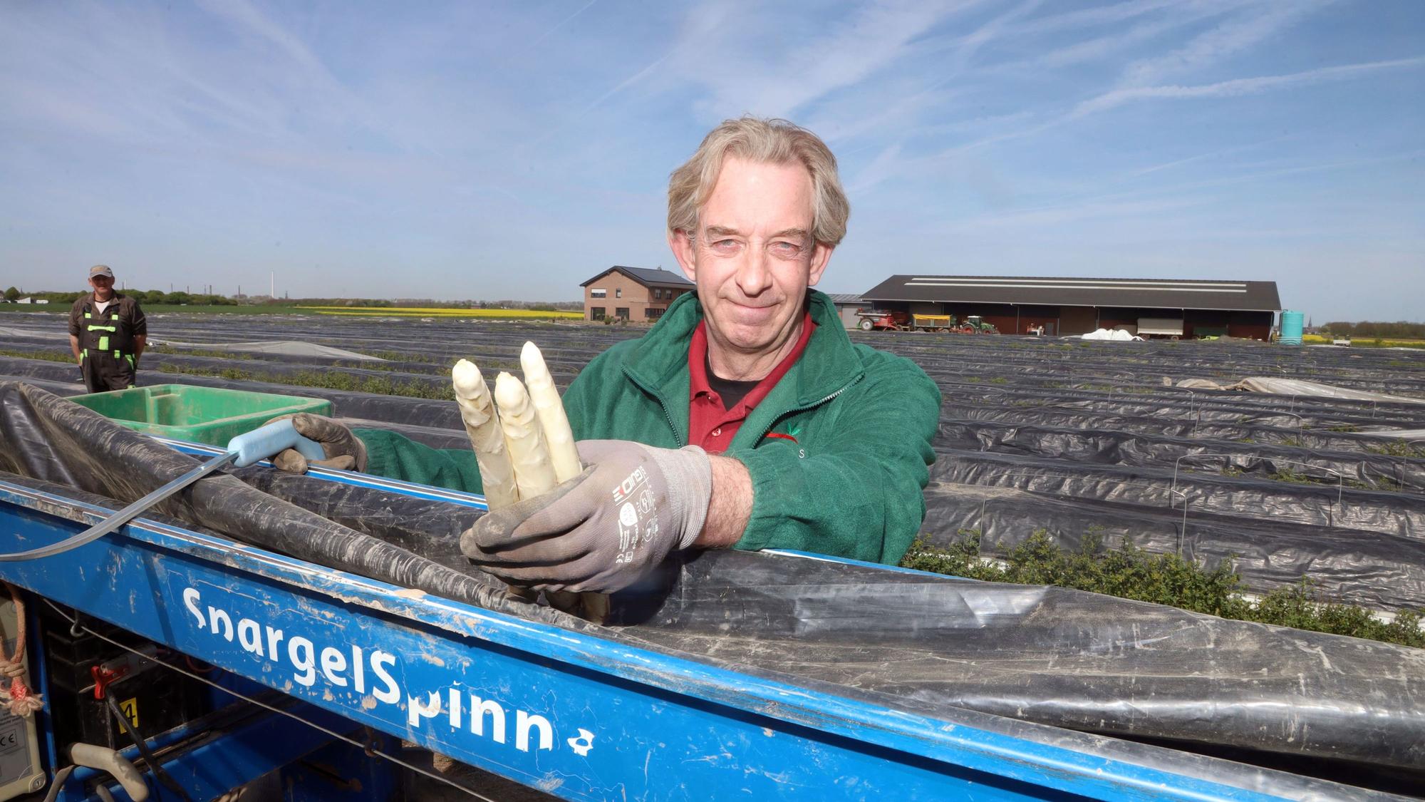 09.04.2026, Köln: Beginn der Spargelsaison in Nordrhein-Westfalen. Auf dem Spargelfeld von Landwirt Peter Wermes in Zündorf geht das große Stechen schon los. Foto: Arton Krasniqi