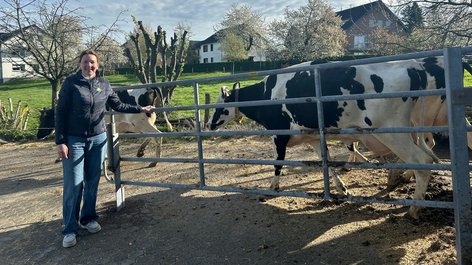 Arla-Landwirtin Anne Wieden aus Neukirchen lässt ihre 200 Milchkühe nach der Winterpause im Stall hinaus auf die Weide.