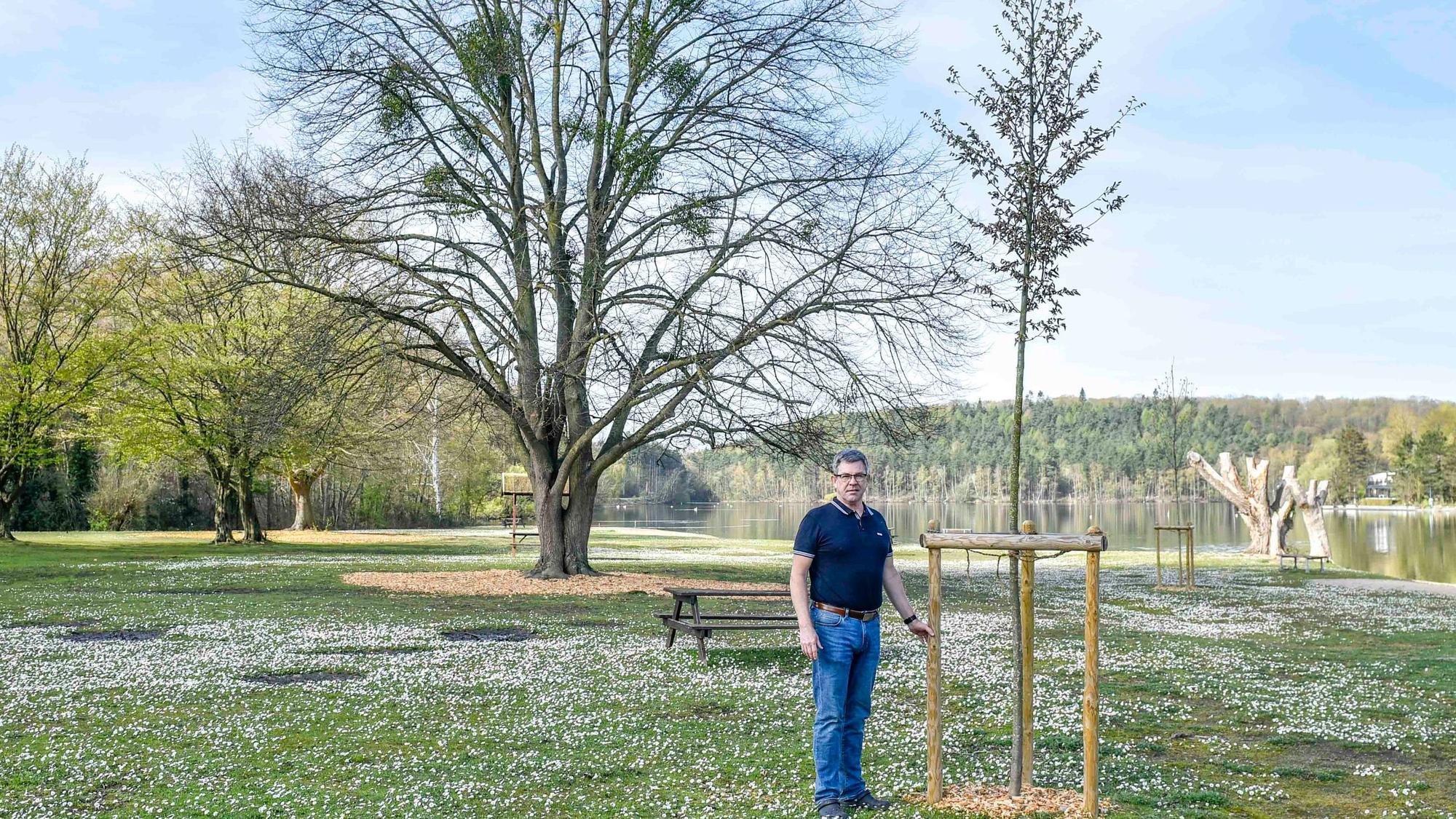 Zu sehen ist ein Mann, der neben einem neu gepflanzten Baum steht.