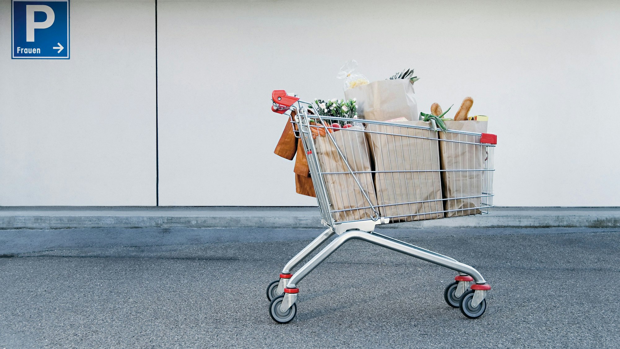 Einkaufswagen
