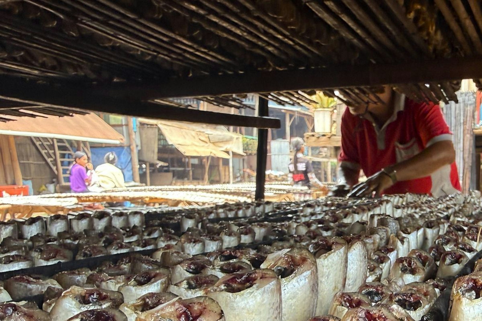 Fische werden geräuchert