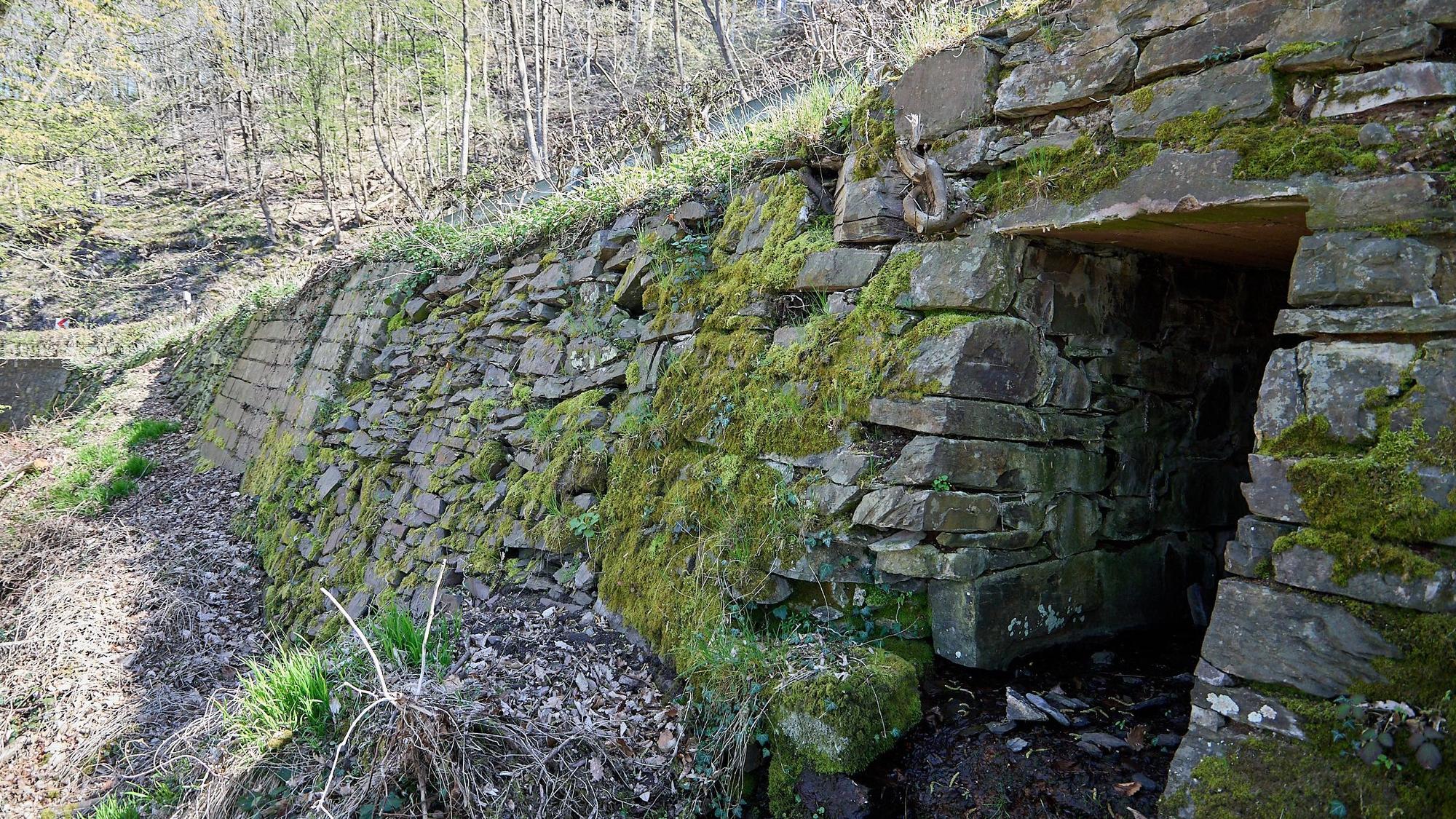 In einem Wald ist eine Böschung mit einer alten Mauer begestig. Die Steine sind teils mit Moos bewachsen.