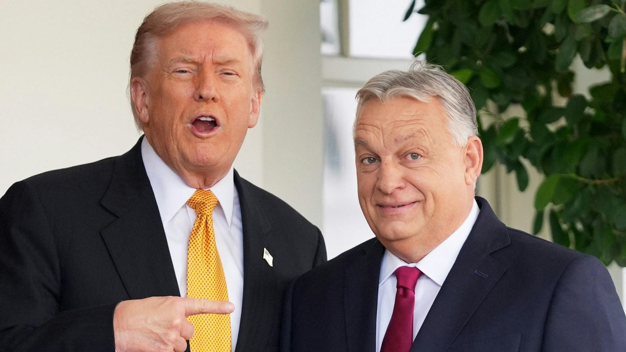 US-Präsident Donald Trump (l.) begrüßt Ungarns Ministerpräsident Viktor Orbán im Weißen Haus. (Archivbild)