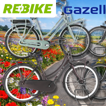 4 verschiedene Gazelle Fahrräder vor einem Fahrradweg.