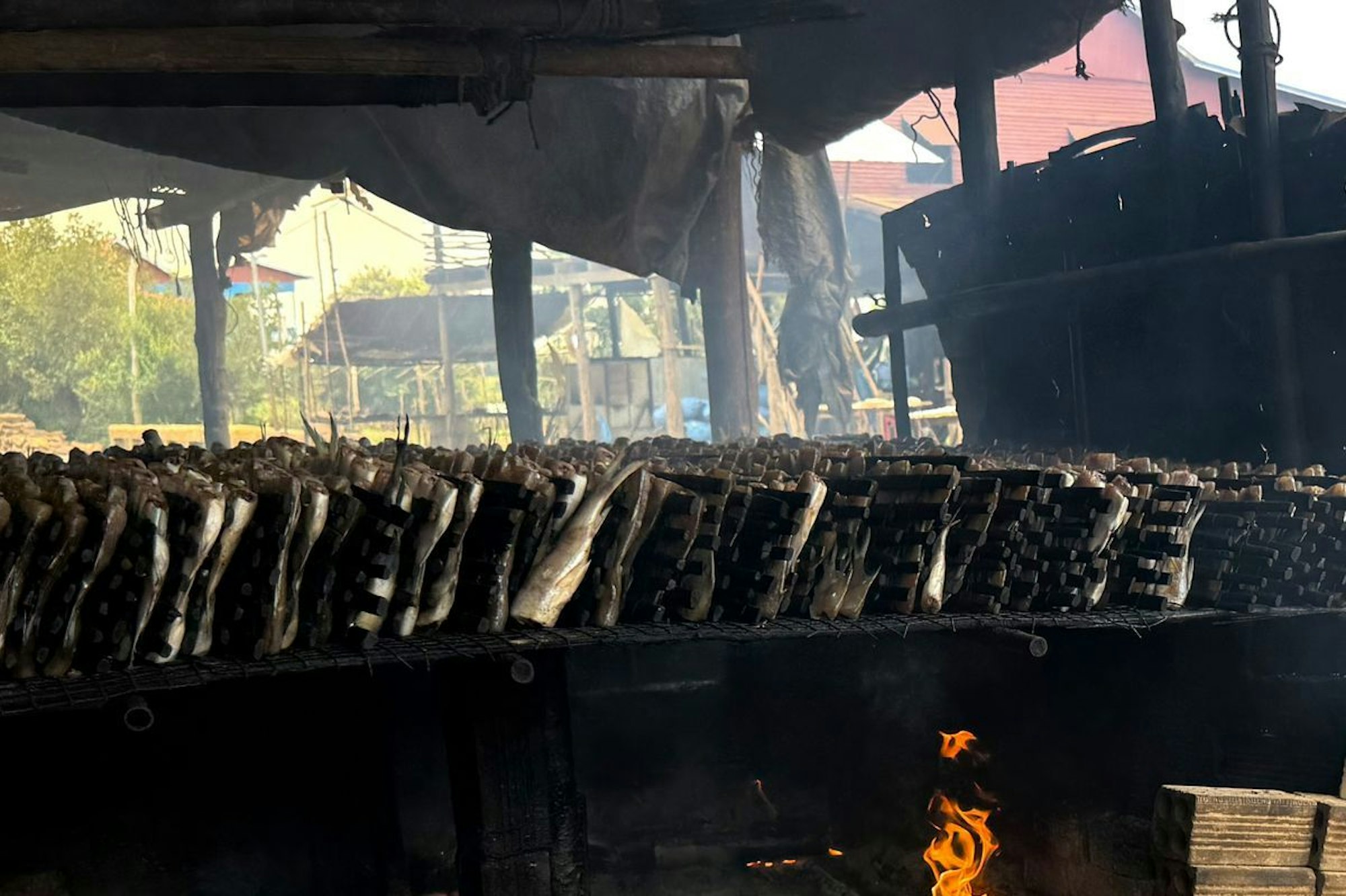 Räucherfisch am Straßenrand beim Tonle Sap in Kambodscha