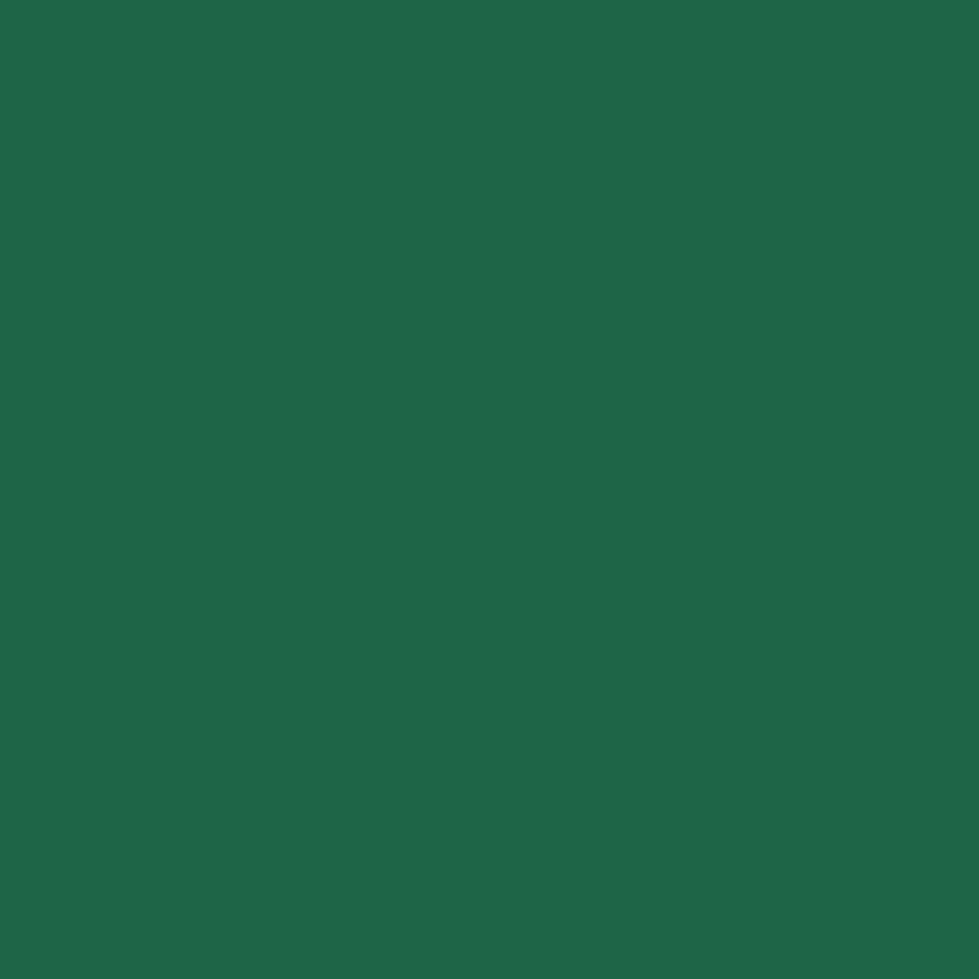 Iran-Krieg -Pakistan
