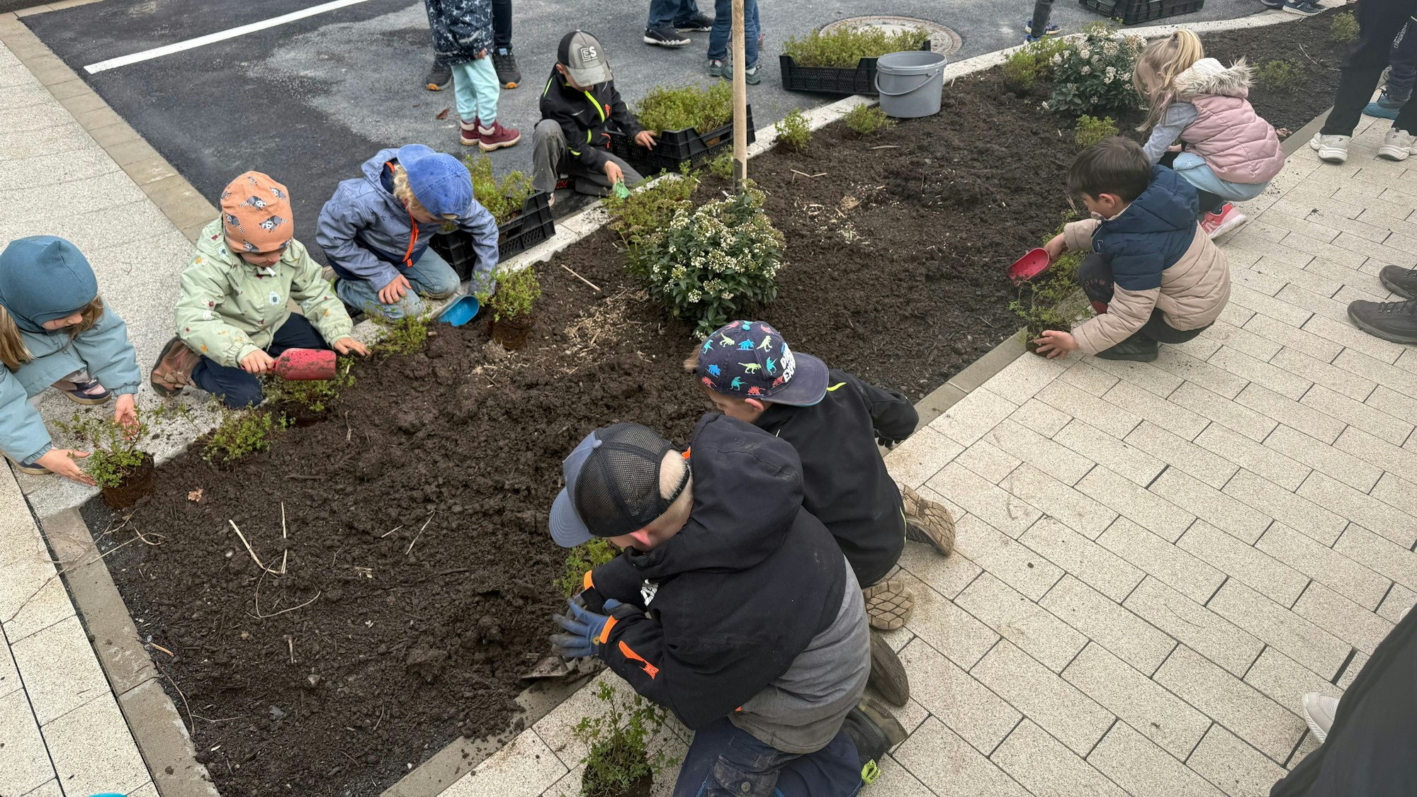 Kindergartenkinder beim bepflanzen der Beete an der modernisierten Klosterstraße.