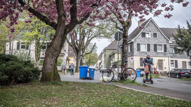 Die denkmalgeschützten Kolonien sollen vom Bauturbo verschont bleiben. Im Bild eine blühende Zierkirsche in der Kolonie III an der Hindenburgstraße. Bild: Ralf Krieger