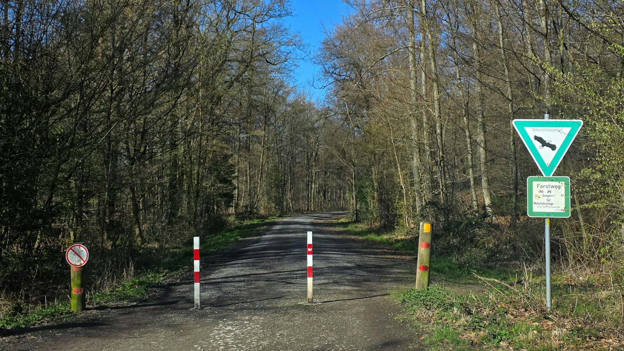 Pfosten sperren einen Waldweg im Königsforst für Fahrzeuge ab.