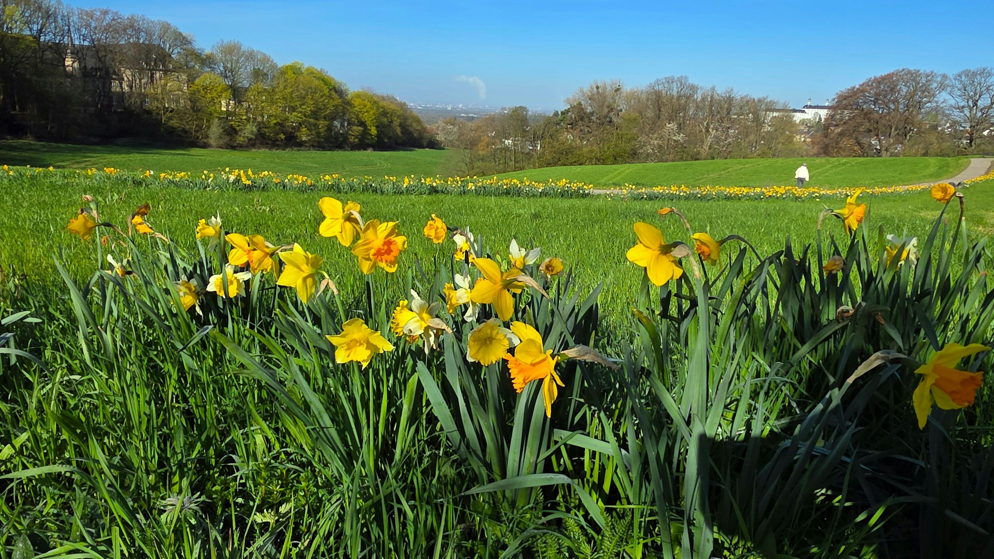 Ausblick vom Stadtgarten auf das Bensberger Schloss und das Rheintal.