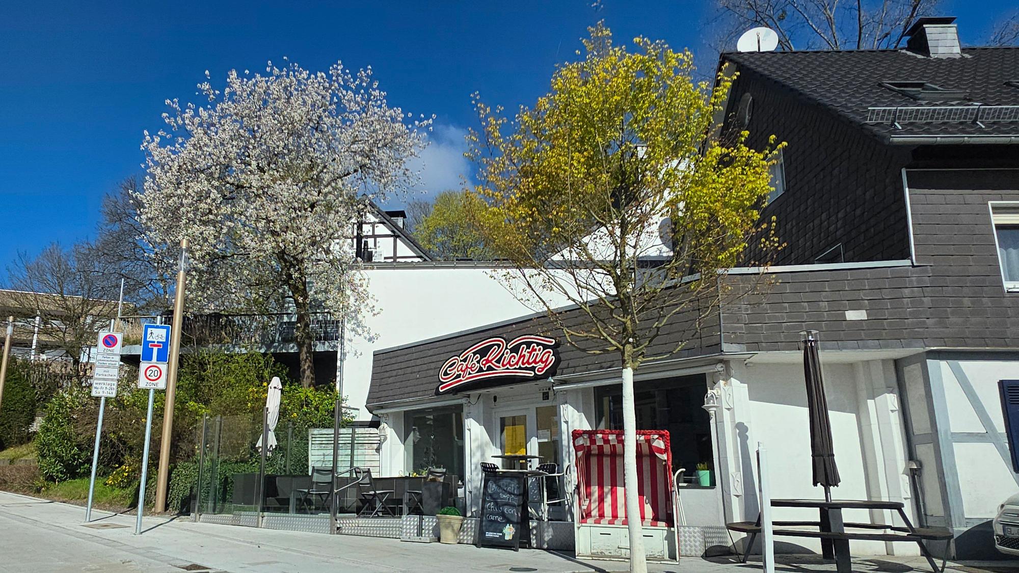 Frühlingsblüte in Bensberg.