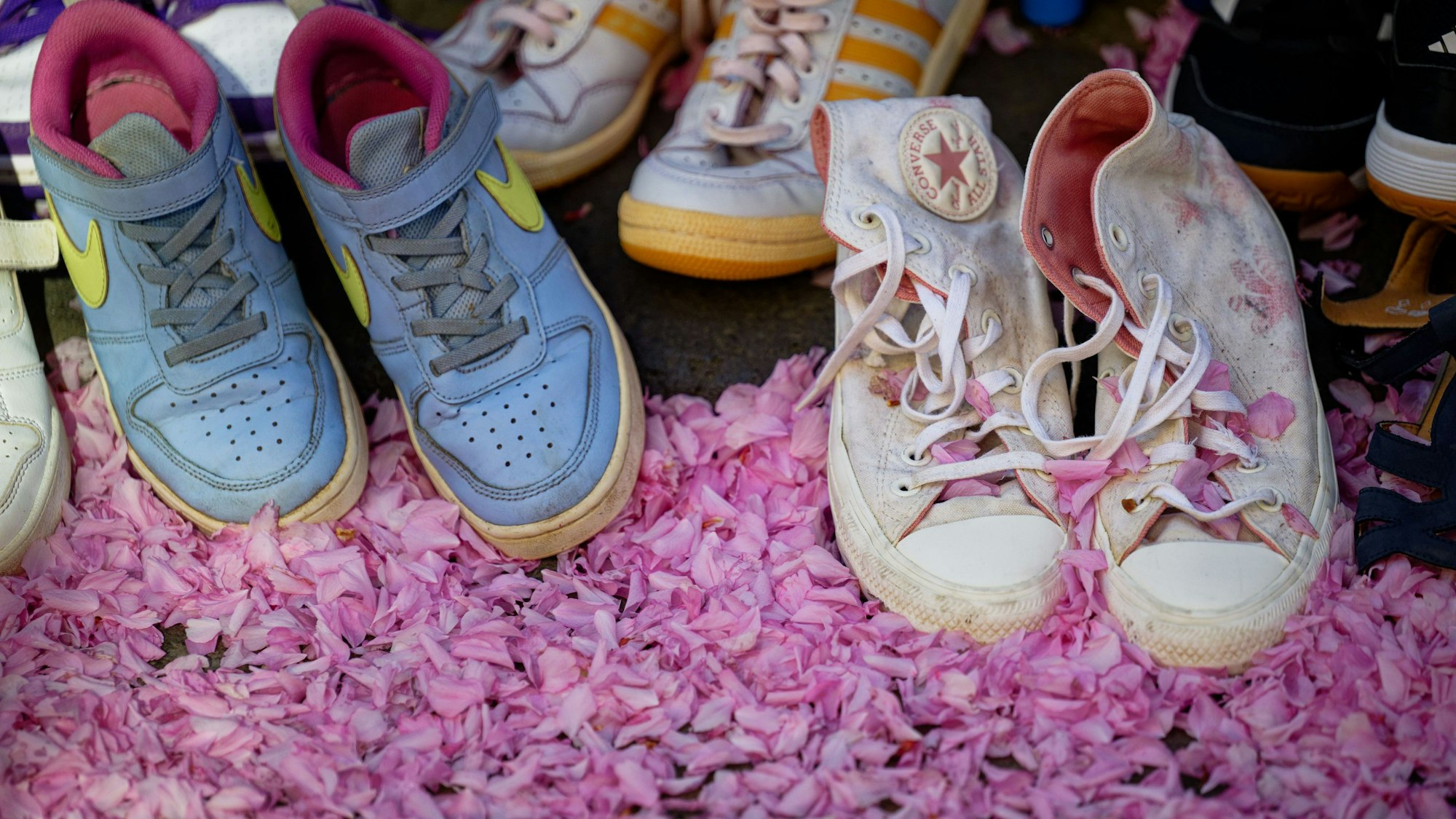11.04.2026, Nordrhein-Westfalen, Bonn: Besucher genießen die leuchtenden Kirschblüten und den Flohmarkt in der Bonner Altstadt. Foto: Henning Kaiser/dpa +++ dpa-Bildfunk +++