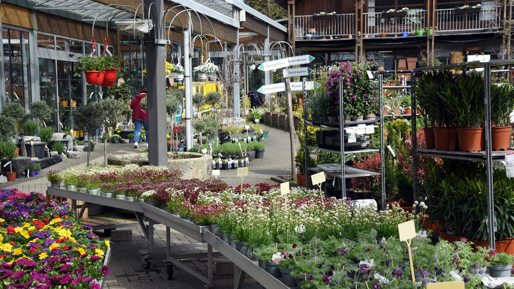 Der Außenbereich der Baumschule Werner