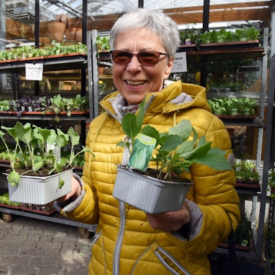 Eine Frau steht mit zwei Pflanzen in der Hand neben vollen Regalen mit Gemüsepflanzen.