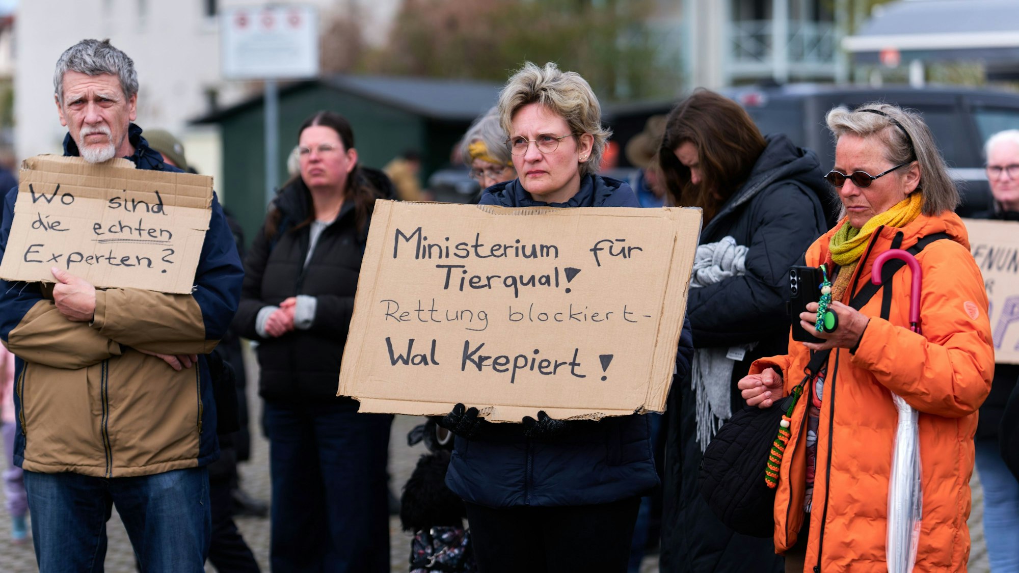 Mehr als 80 Menschen demonstrieren in Kirchdorf für die Rettung des Buckelwals.