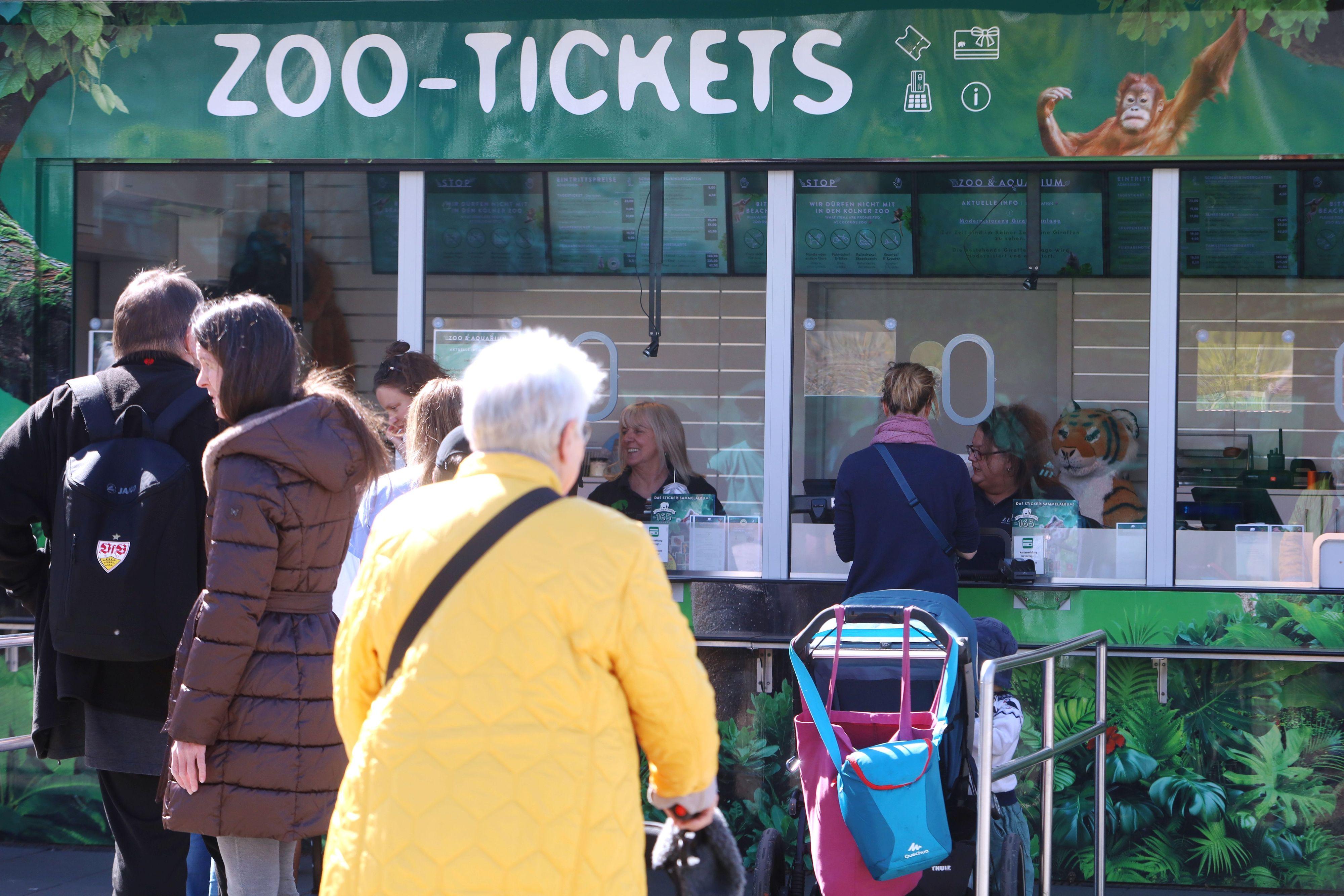 Köln: Zoo führt dynamische Preise ein – Tickets kosten jetzt