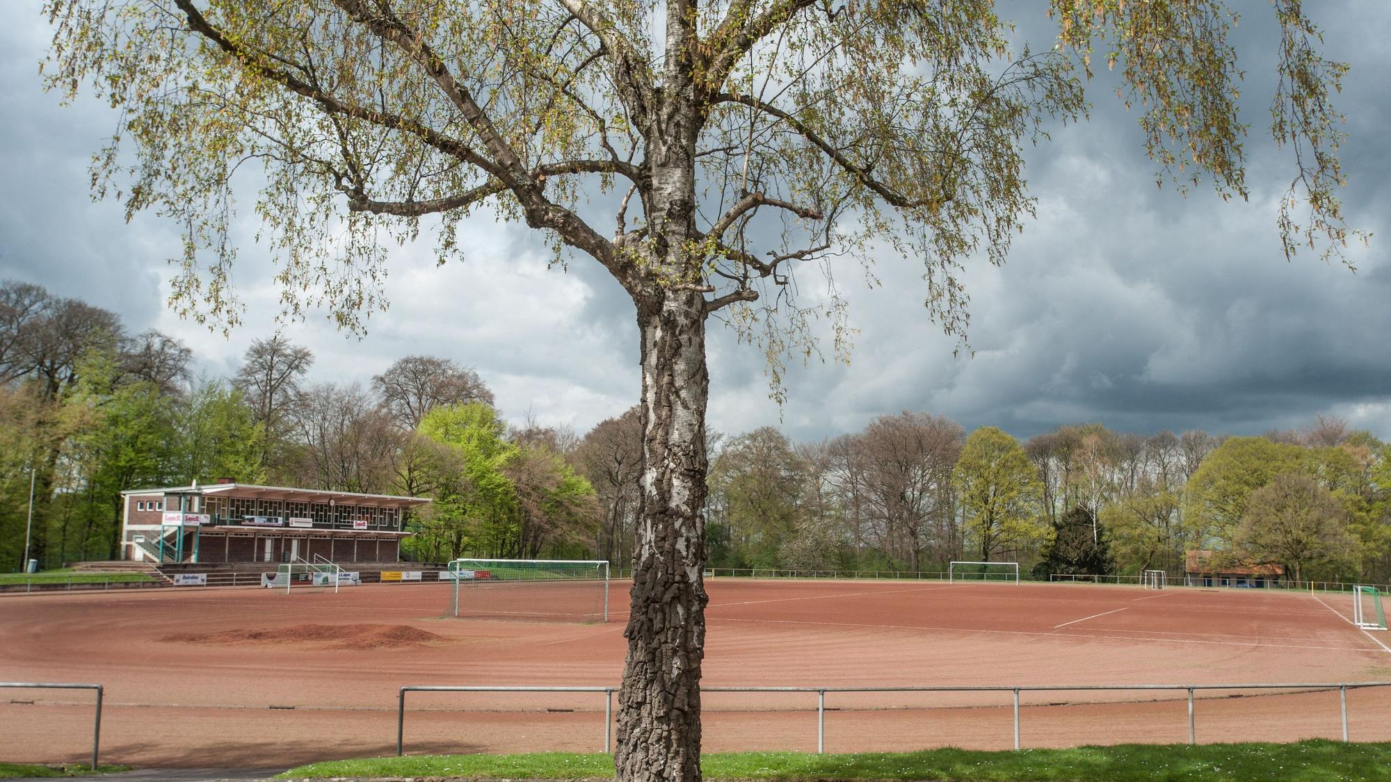 Birkenberg Foto: Ralf Krieger