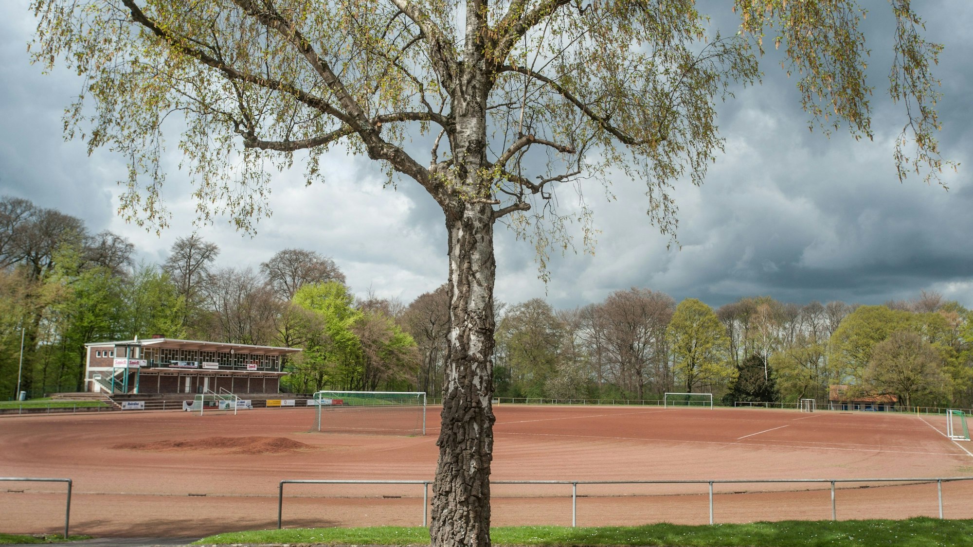 Birkenberg Foto: Ralf Krieger