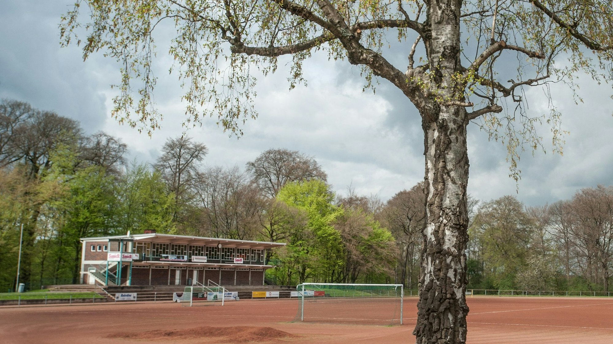 Birkenberg Foto: Ralf Krieger
