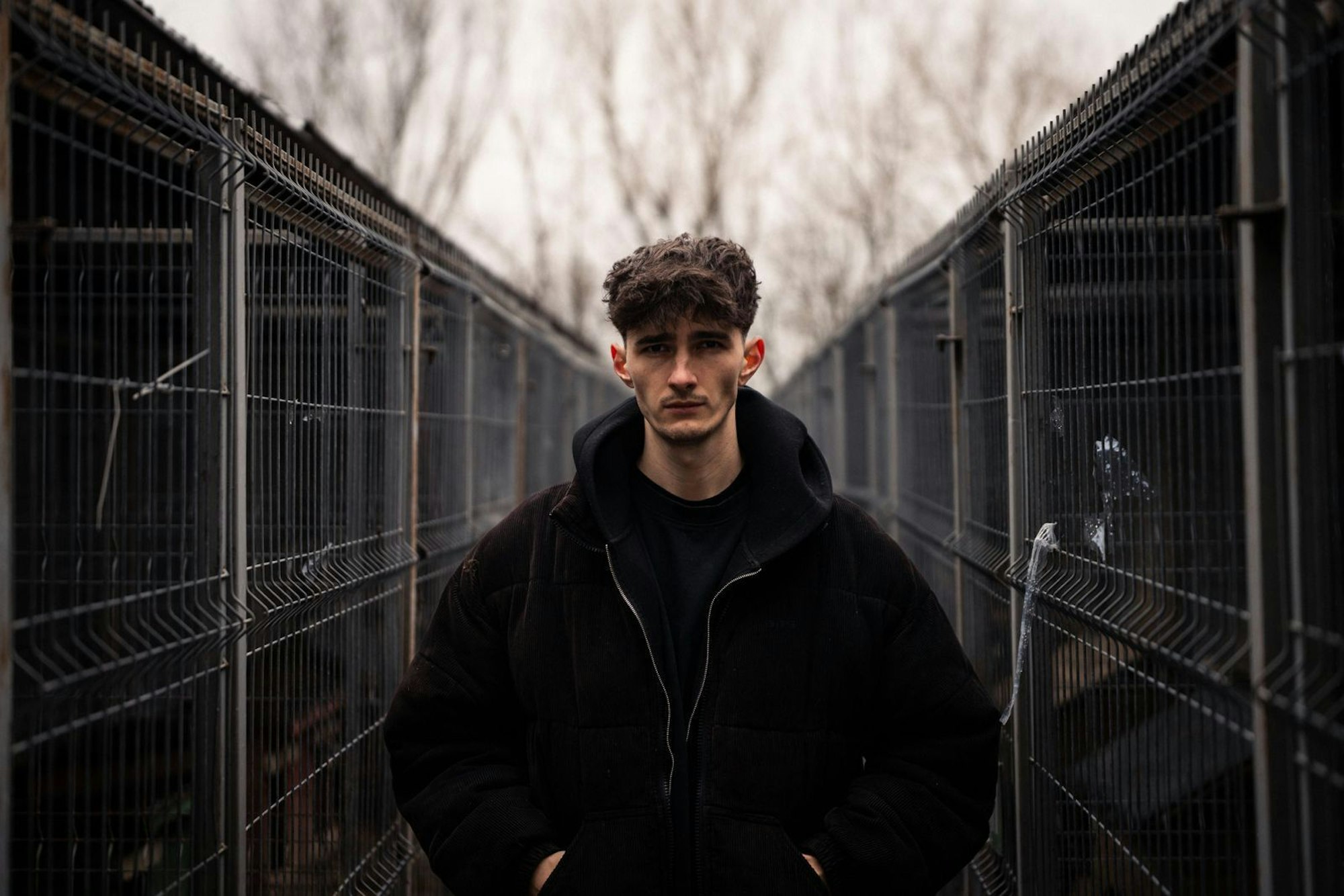 Tierschutz-Influencer Nathan Goldblat reist nach Rumänien. (Bild: VETO Tierschutz)