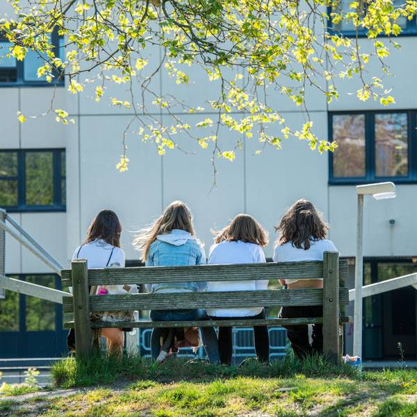 Nach der Schule können sich Kölner Kinder nicht mehr auf dem Schulhof treffen – dann sind sie abgeschlossen. (Symbolfoto)