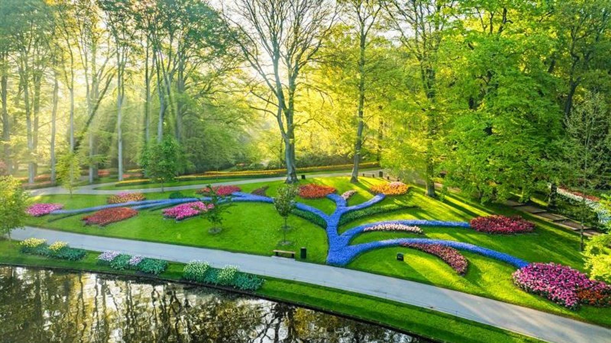 Die weltweit einzigartige, jedes Jahr neu gestaltete Blütenlandschaft aus Millionen Tulpen, Narzissen und Hyazinthen verwandelt den Park iin ein spektakuläres Farbenmeer.