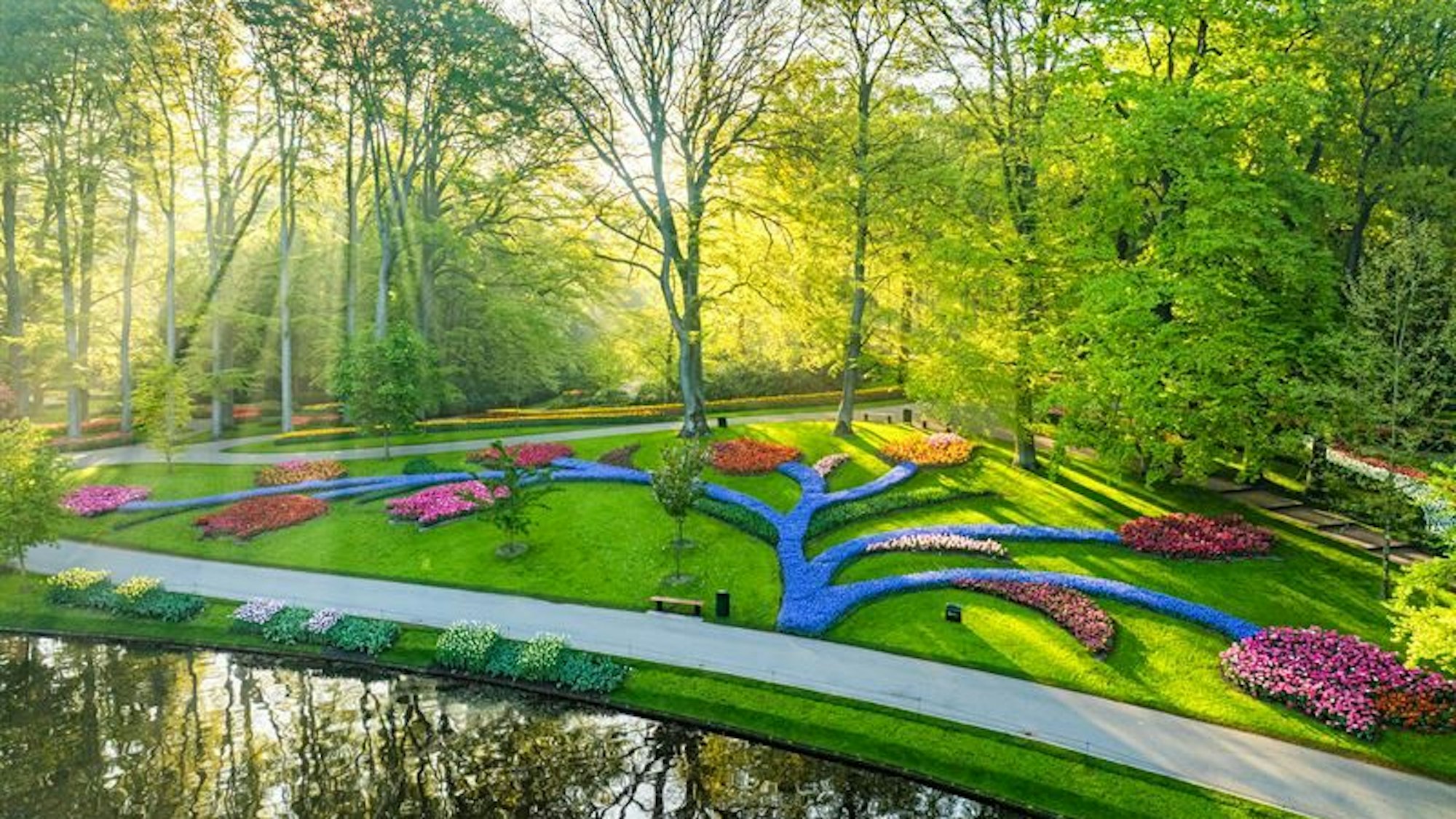 Die weltweit einzigartige, jedes Jahr neu gestaltete Blütenlandschaft aus Millionen Tulpen, Narzissen und Hyazinthen verwandelt den Park iin ein spektakuläres Farbenmeer.