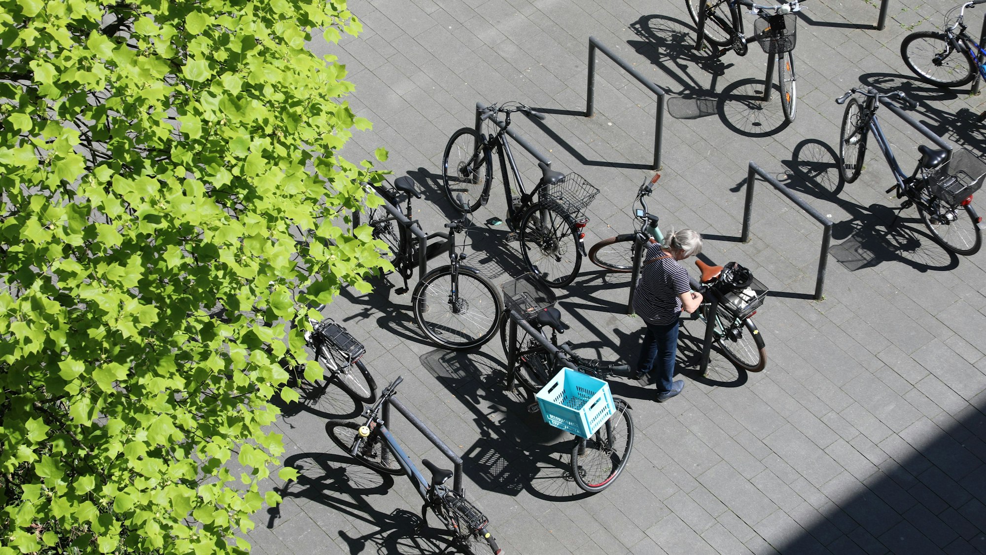 Fahrräder stehen angeschlossen an Fahrradbügeln.