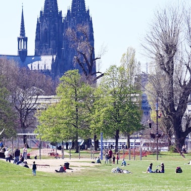 Der Rheinpark im Frühling mit Aussicht auf den Kölner Dom.