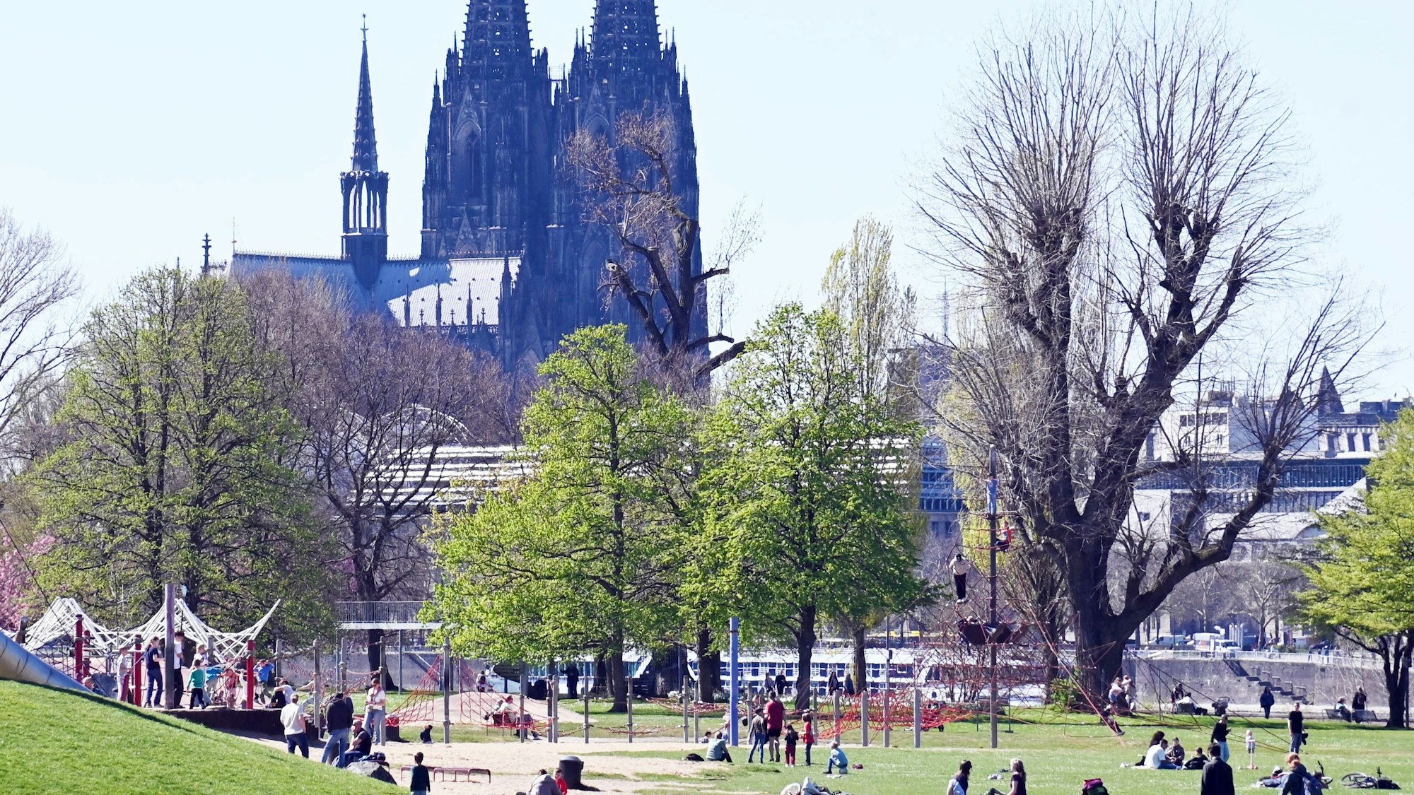 Der Rheinpark im Frühling mit Aussicht auf den Kölner Dom.