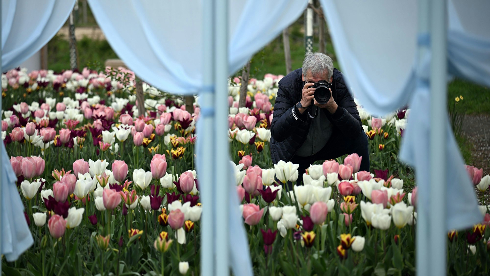 Ein Journalist fotografiert auf dem Gelände der Landesgartenschau.