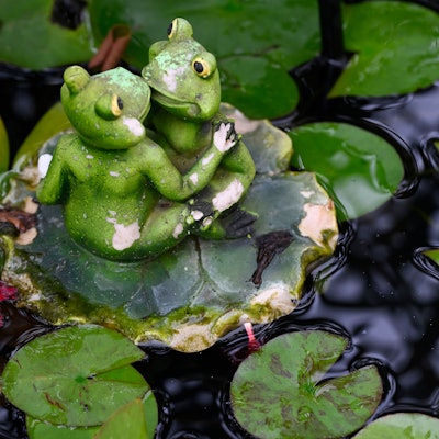 Eine Frosch-Figur ist in einem Gartenteich zu sehen.