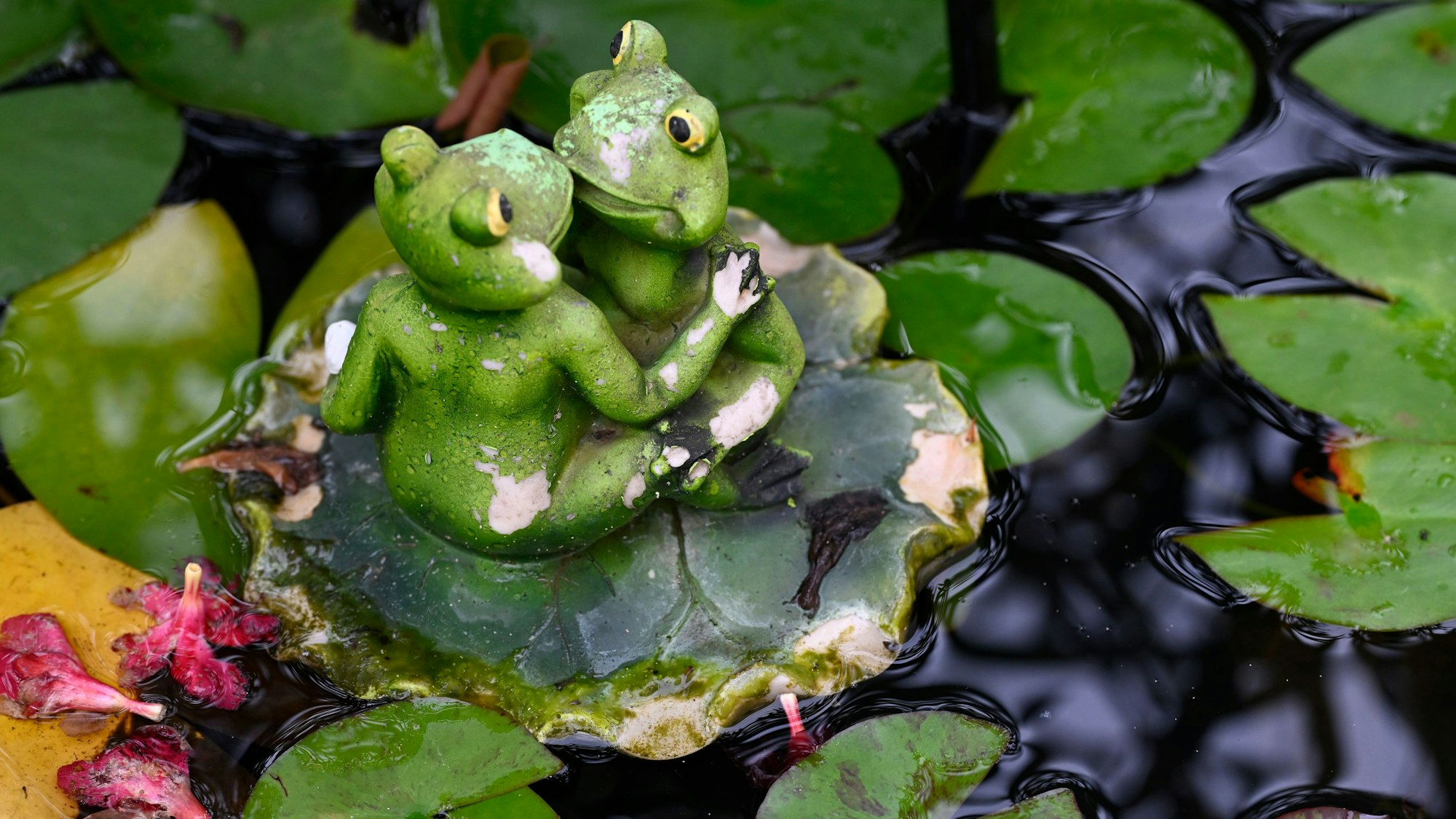 Eine Frosch-Figur ist in einem Gartenteich zu sehen.